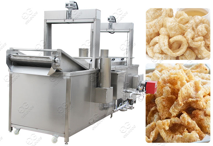 How Much Does a Pork Rind Fryer Cost