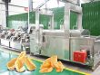 Frying Machine for Pork Rinds