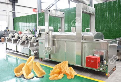 Frying Machine for Pork Rinds